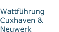 Wattführung Cuxhaven & Neuwerk